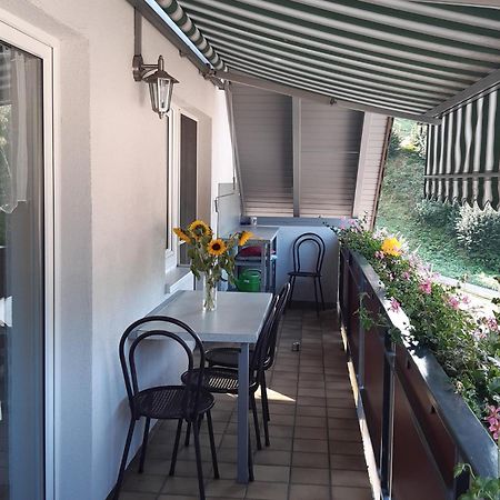 Ferienwohnung Am Geissberg Kleines Wiesental Esterno foto