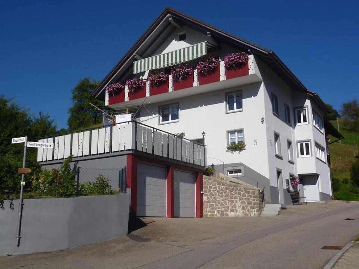 Ferienwohnung Am Geissberg Kleines Wiesental Esterno foto