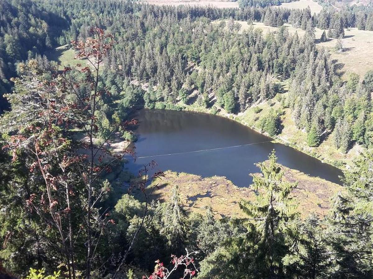 Ferienwohnung Am Geissberg Kleines Wiesental Esterno foto