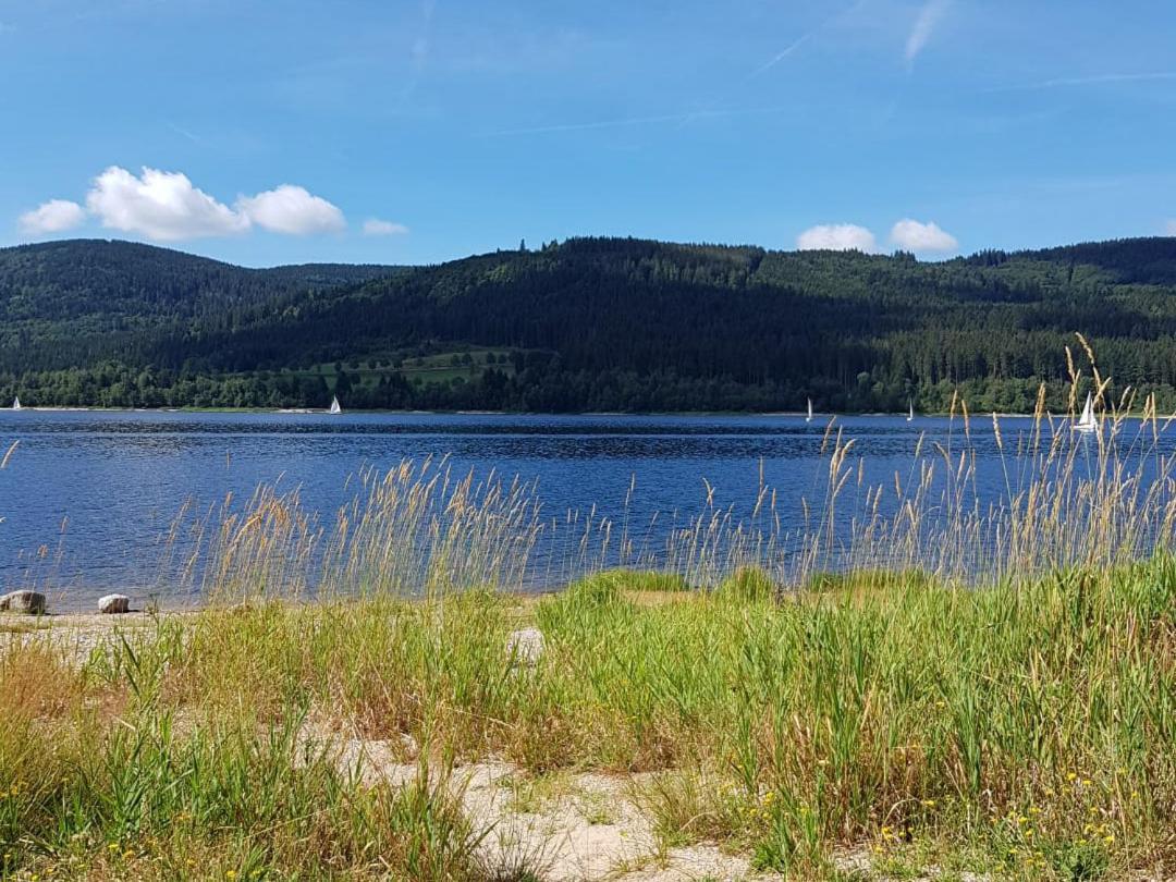 Ferienwohnung Am Geissberg Kleines Wiesental Esterno foto