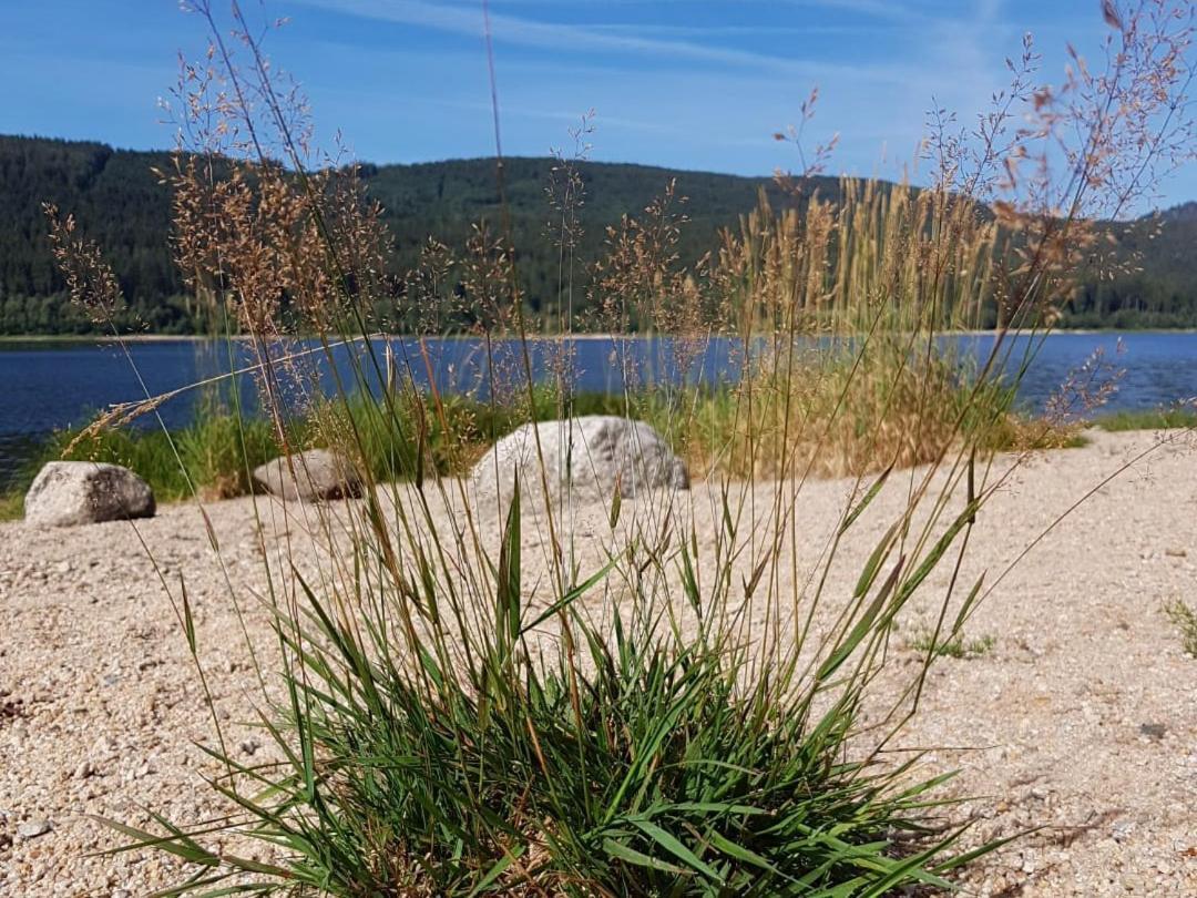 Ferienwohnung Am Geissberg Kleines Wiesental Esterno foto